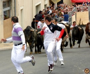 Encierro et cape saint sever 2013