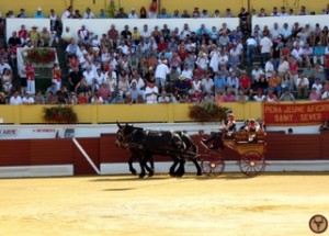 Hagetmau-Miura-août-2013