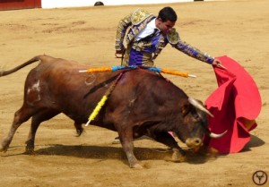 Madeleine 2013-NSP-Camino