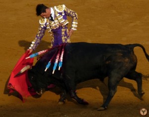 Madeleine2013-Nunez-manzanares
