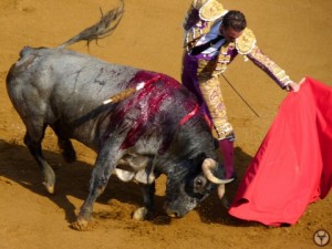 mdm-rafaelillo-escolar gil