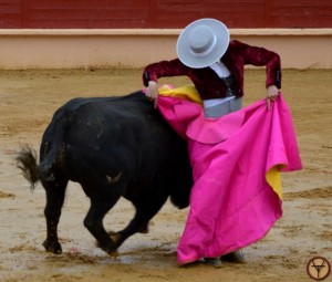 Saint-sever-Mario Dieguez