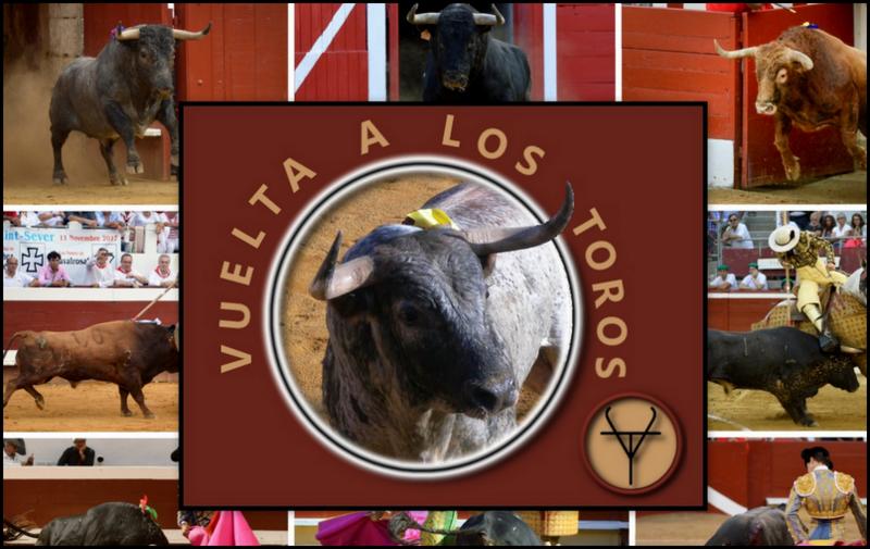 Les Passes De Muleta