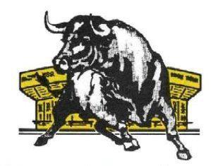 pena-a-los-toros