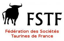 logo_fstf