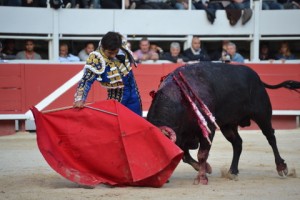 Arles - Joselito Adame