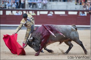 Madrid - Marc Serrano - confirmation