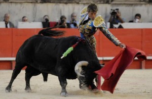 nimes-escribano-vendanges