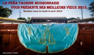 voeux2015-mugron