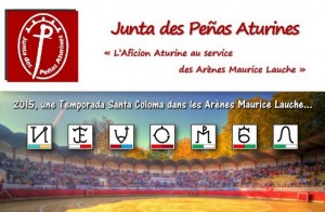 Aire_junta des peñas_2015