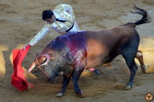 Mont de Marsan_Domilon-Cebada Gago-prix Paul Dorian