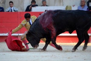 Nimes-Joselito Adame