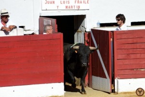 Aire-toros-Fraile-2015