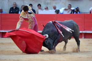 nimes-castella-adolfo2016