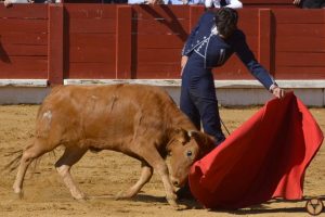 Bougue-Diosleguarde-qualif