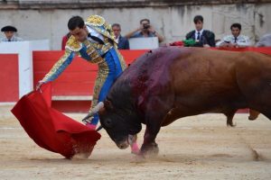 Nimes-Urena-vendanges