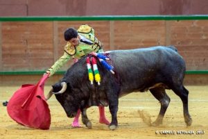 Arnedo-Adoureno2017