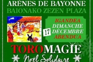 Bayonne-toromagie-2017