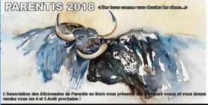 Parentis-voeux2018