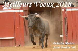Saint Perdon-voeux2018