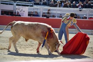 Arles-Adrien Salenc-2018