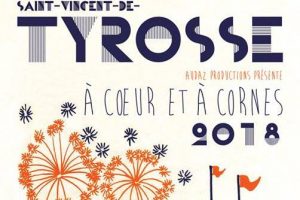 Tyrosse-défi2018