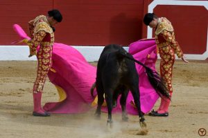 Aire-novillada-2018-galerie