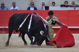 Nimes-Castella-4 oreilles