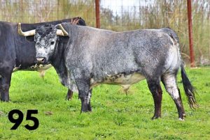 Vic Fezensac-San Martin-concours
