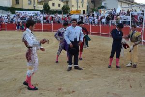 Boujan-Reyes-Raso de Portillo