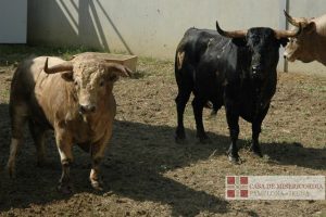 Pamplona-corrales2018
