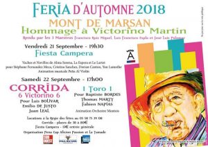 Mont de Marsan-féria-automne2018