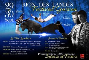 Rion-affiche-festivalGascon