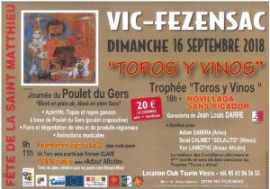 Vic Fezensac-Saint Matthieu2018
