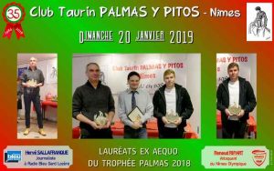 Nimes-CT-palmas2018