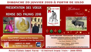Nimes-palmas-pitos2019