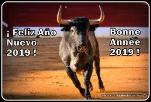 Voeux 2019-Vuelta A Los Toros