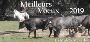 voeux2019-la muleta