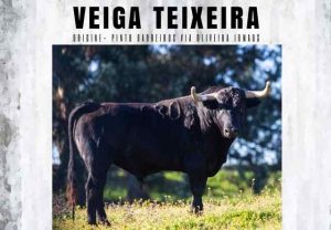 Boujan-Veiga-teixeira