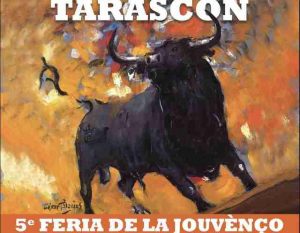 Tarascon-programme2019