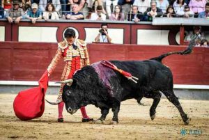 Madrid-Caballero-Pilar