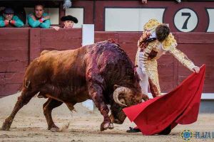 Madrid-juan leal-pedraza