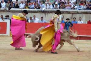 Nimes-castella-roca rey