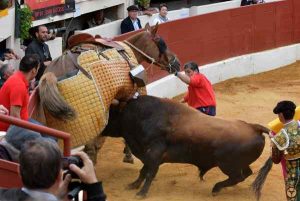 Vic Fezensac-Pedraza-cuadra