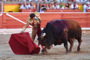 Pamplona-Ferrera-Victoriano