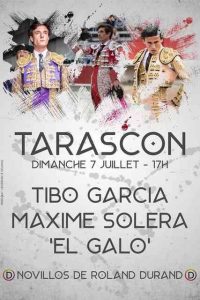Tarascon-affiche2019