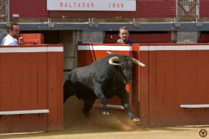 Saint Perdon-galerie2019-Baltasar