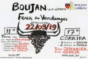 Boujan-vendanges2019