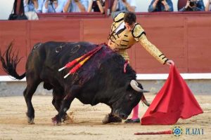 Madrid-Luque-Puerto