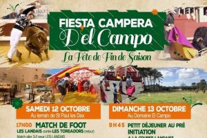 Mees-affiche-fiesta campere El Campo